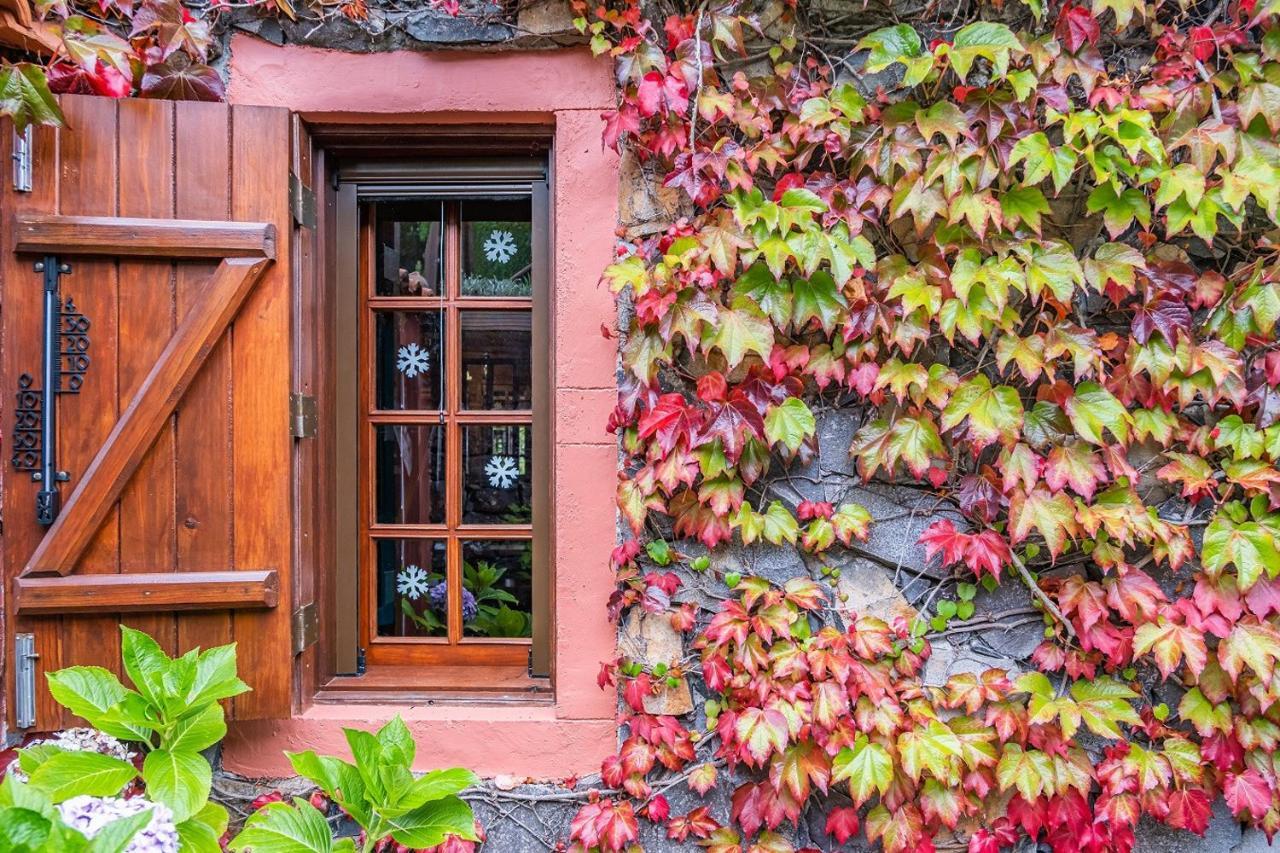 Villa Achada Da Mouca By Madeira Sun Travel Santana  Kültér fotó