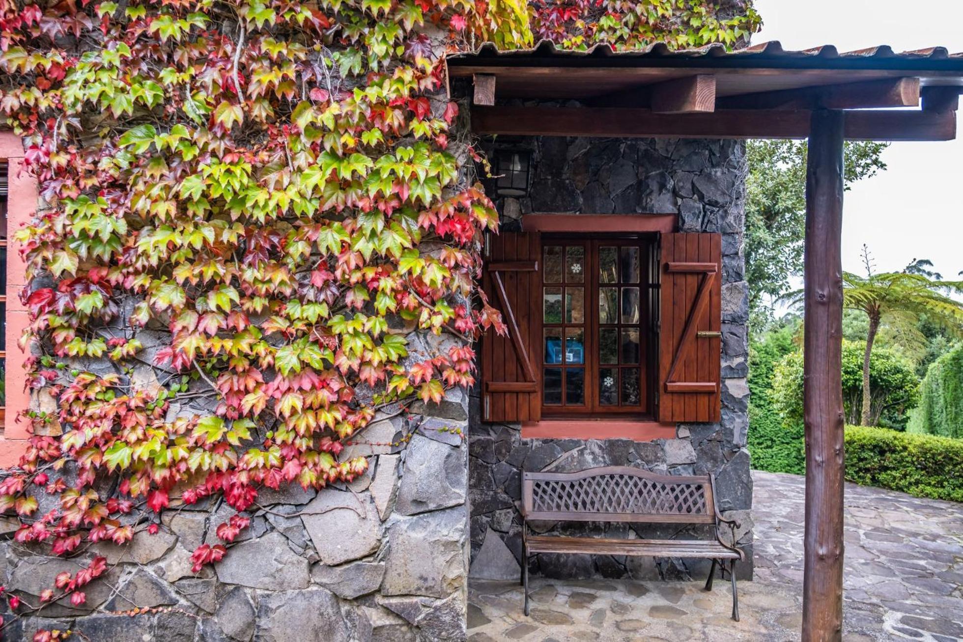 Villa Achada Da Mouca By Madeira Sun Travel Santana  Kültér fotó